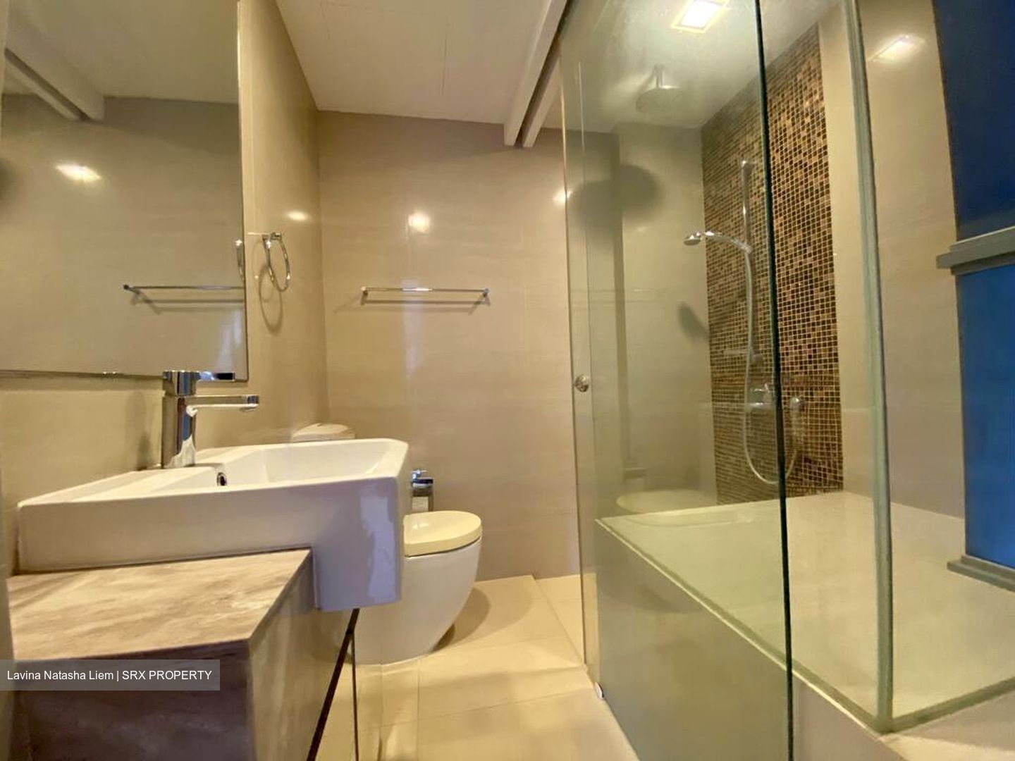 Angullia Park Residences @ Orchard (D10), Apartment #474369481